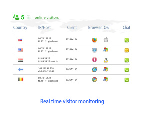 Monitoring von Online-Besuchern